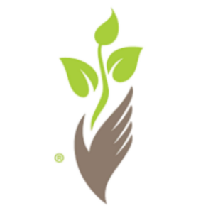 pcah logo